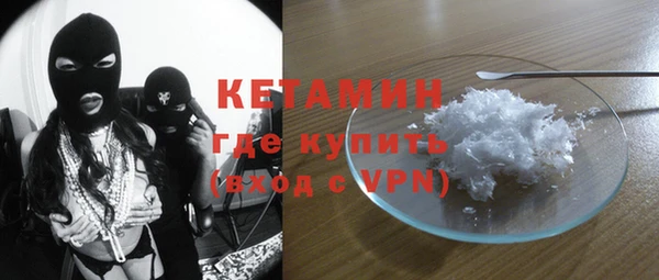 гашик Алексин