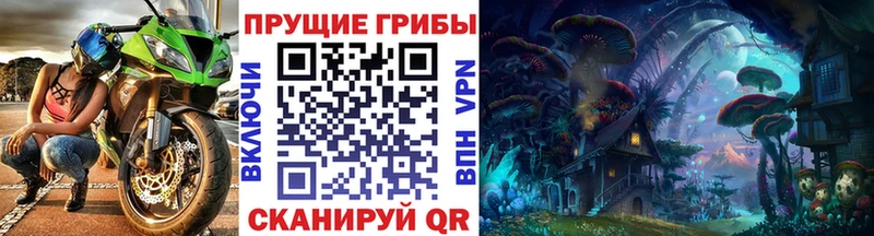 Галлюциногенные грибы Psilocybine cubensis  Старая Купавна 