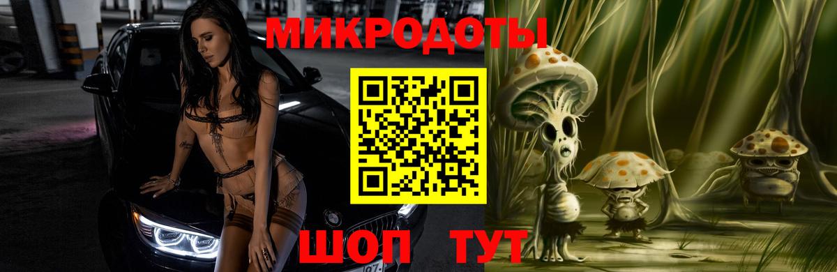 Псилоцибиновые грибы Psilocybine cubensis Старая Купавна