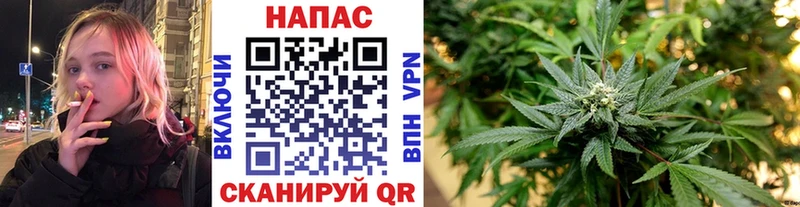 Конопля план  Старая Купавна 